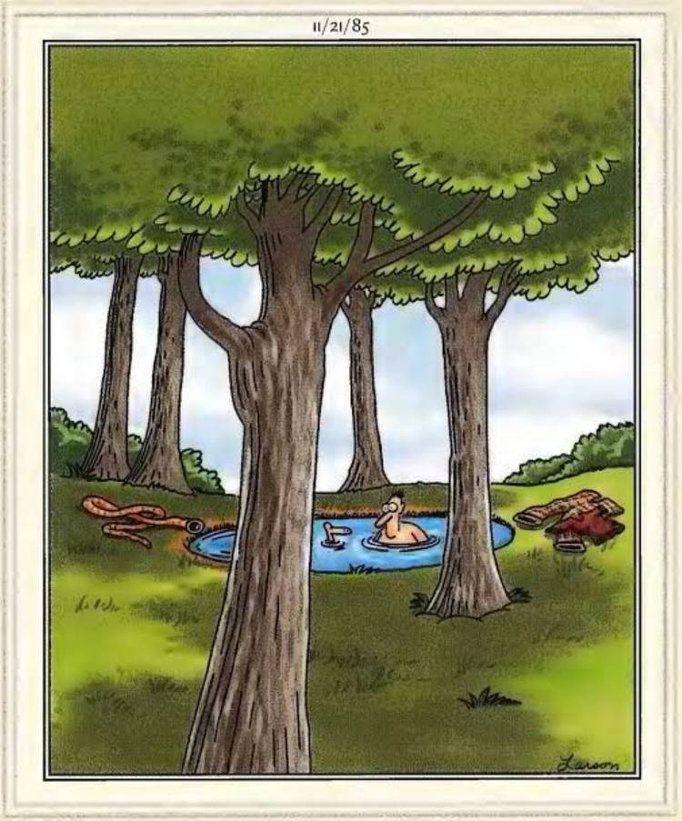 Far Side snake naked