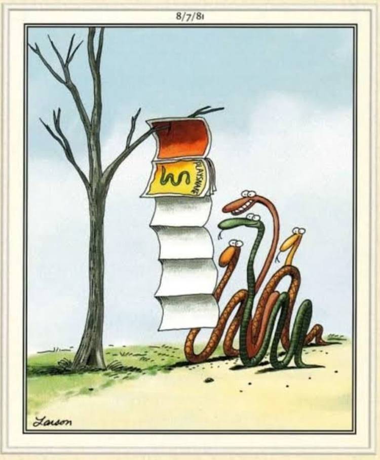 Far Side Snakes playsnake