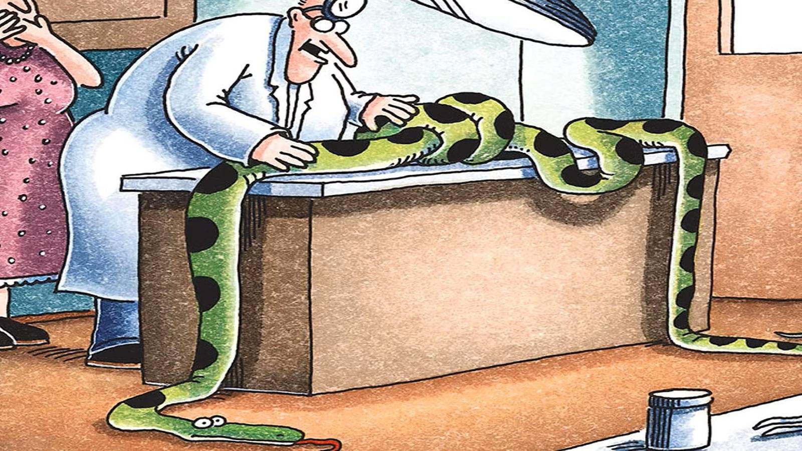 10 Best Far Side Comics About Snakes