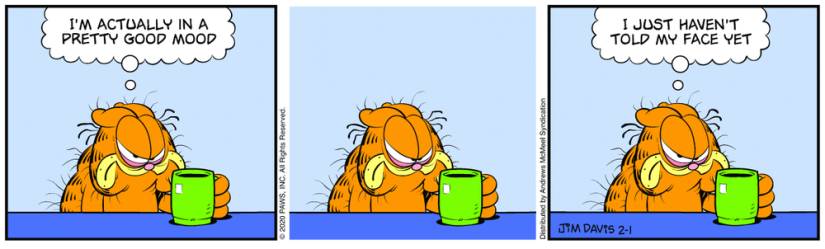 Garfield 2-1-2020