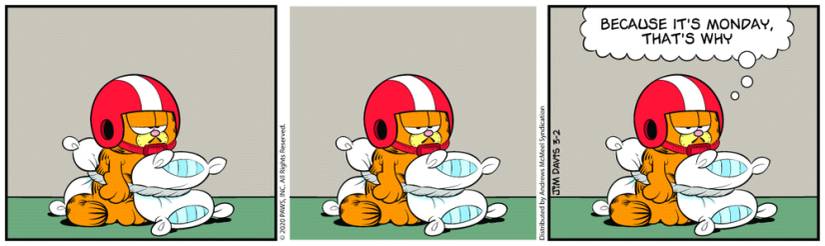 Garfield 3-2-2020