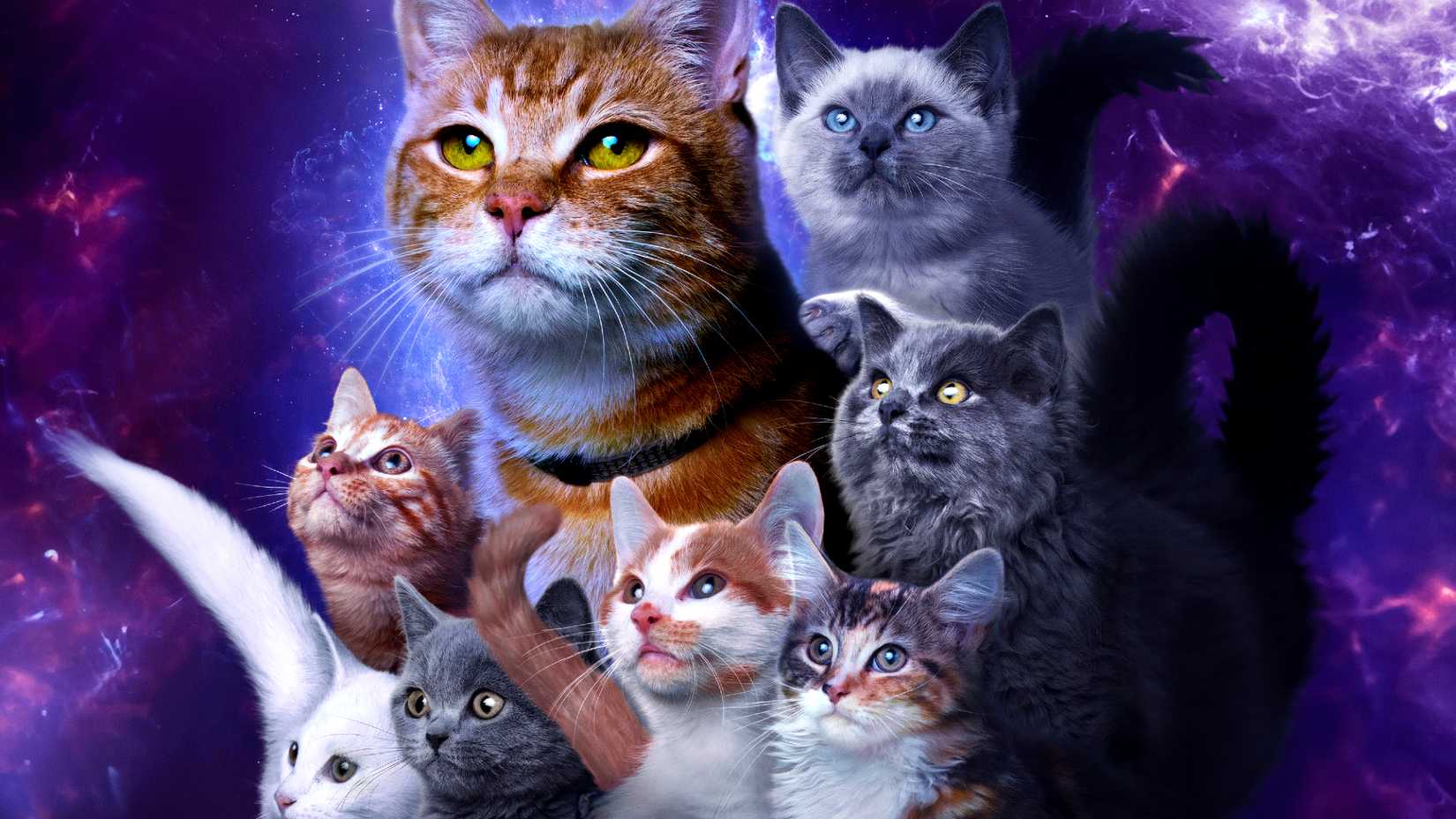Goose and other Flerkens pose for a photo in The Marvels poster