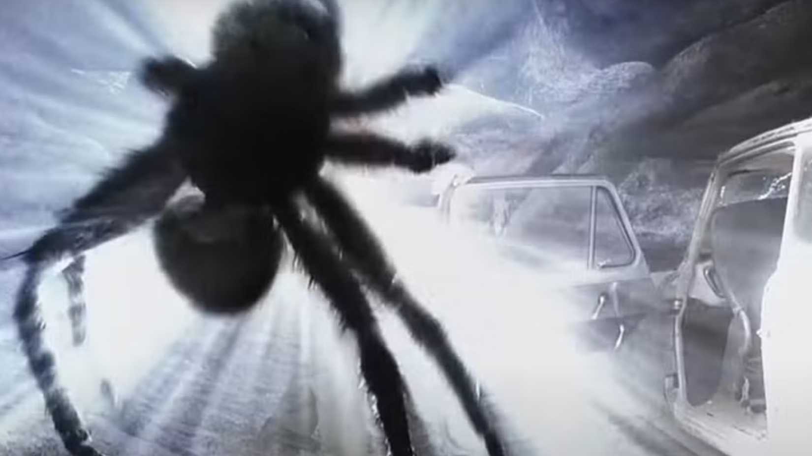 Hary Potter Spider Banishing Spell