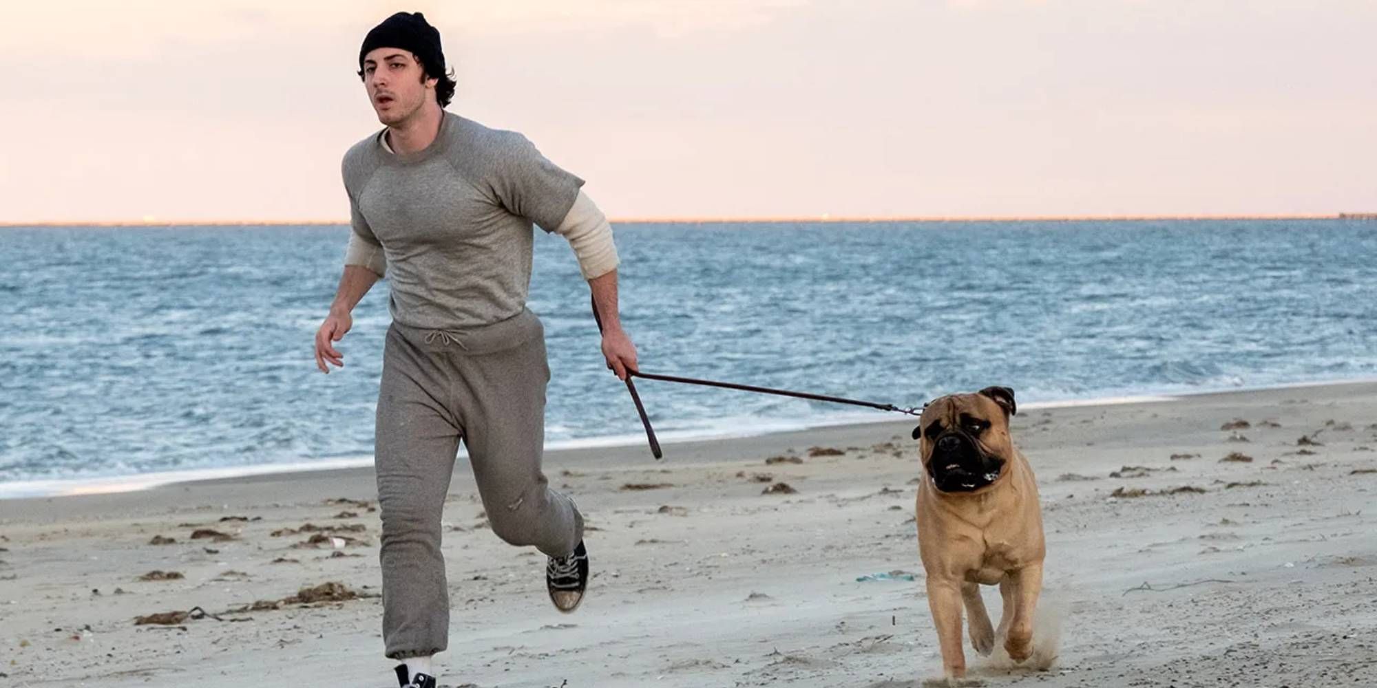 I Play Rocky Review: Sylvester Stallone Origin Story Is As Uplifting As Rocky [TIFF] image