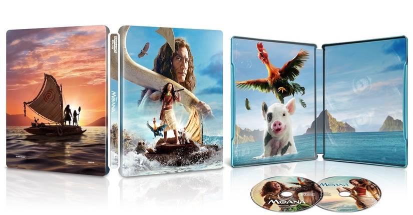 Moana Live-Action Remake Debuts on Streaming 1 Week After Box Office Disappointment