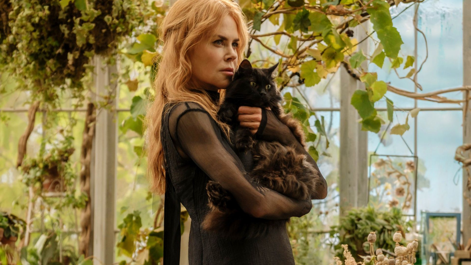 Practical Magic 2 Box Office Debut Doubles OG Movie, Could Be Enough To Break Franchise Curse image