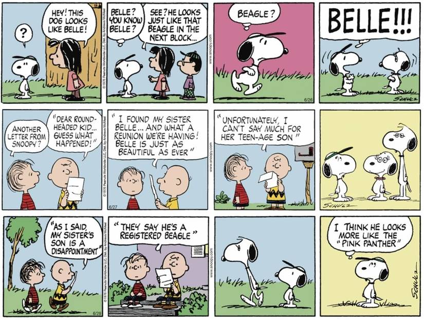 A series of three Peanuts strips showing the introduction of Snoopy's sister Belle and her unnamed son that Snoopy doesn't like.