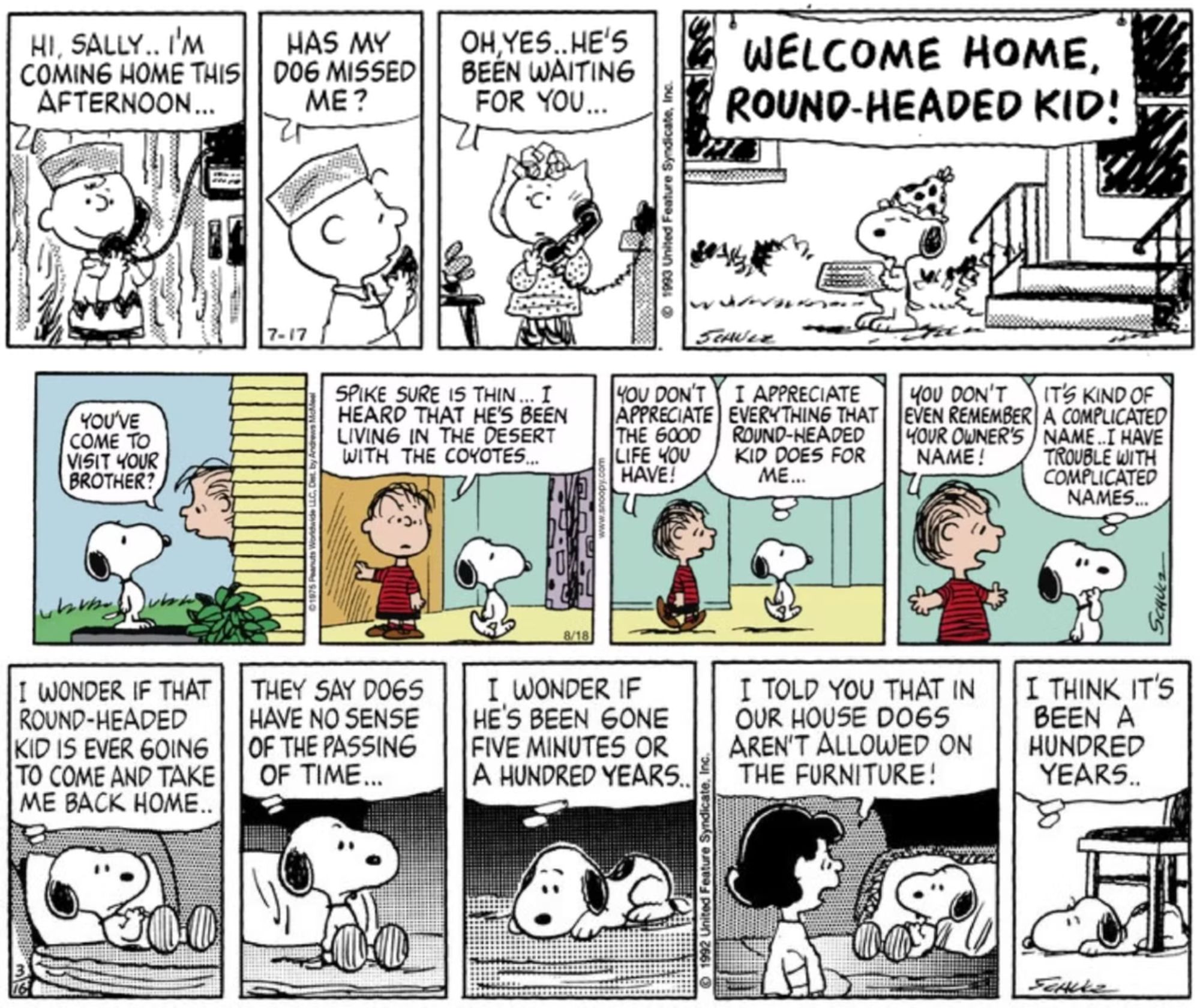 PEANUTS COMICS WHERE SNOOPY DOESN'T KNOW CHARLIE BROWN'S NAME