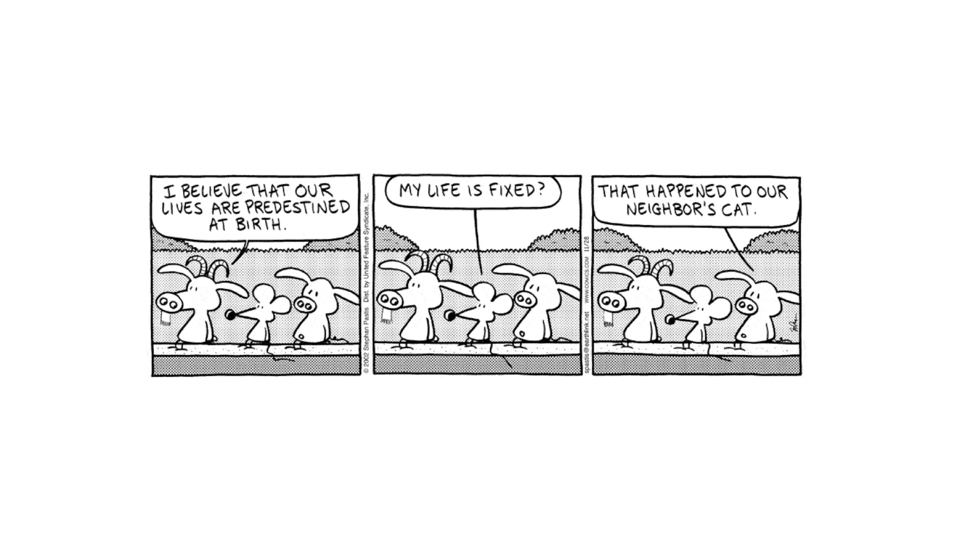 Peanuts Successor Comic Strip Pearls Before Swine November 28 2002