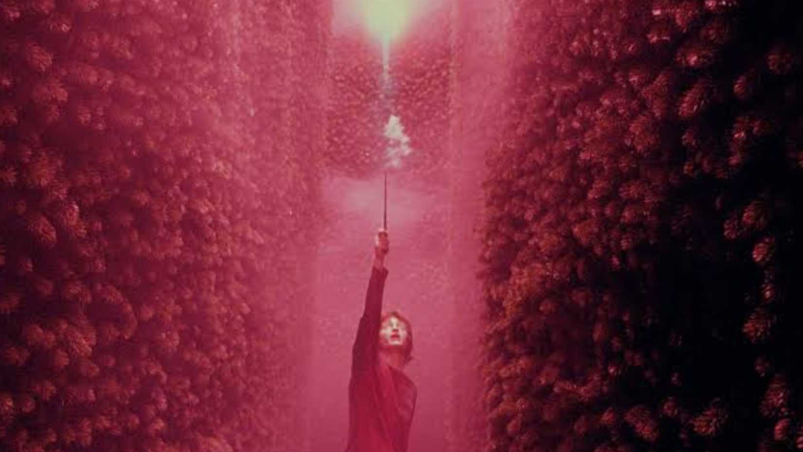 Periculum in harry potter