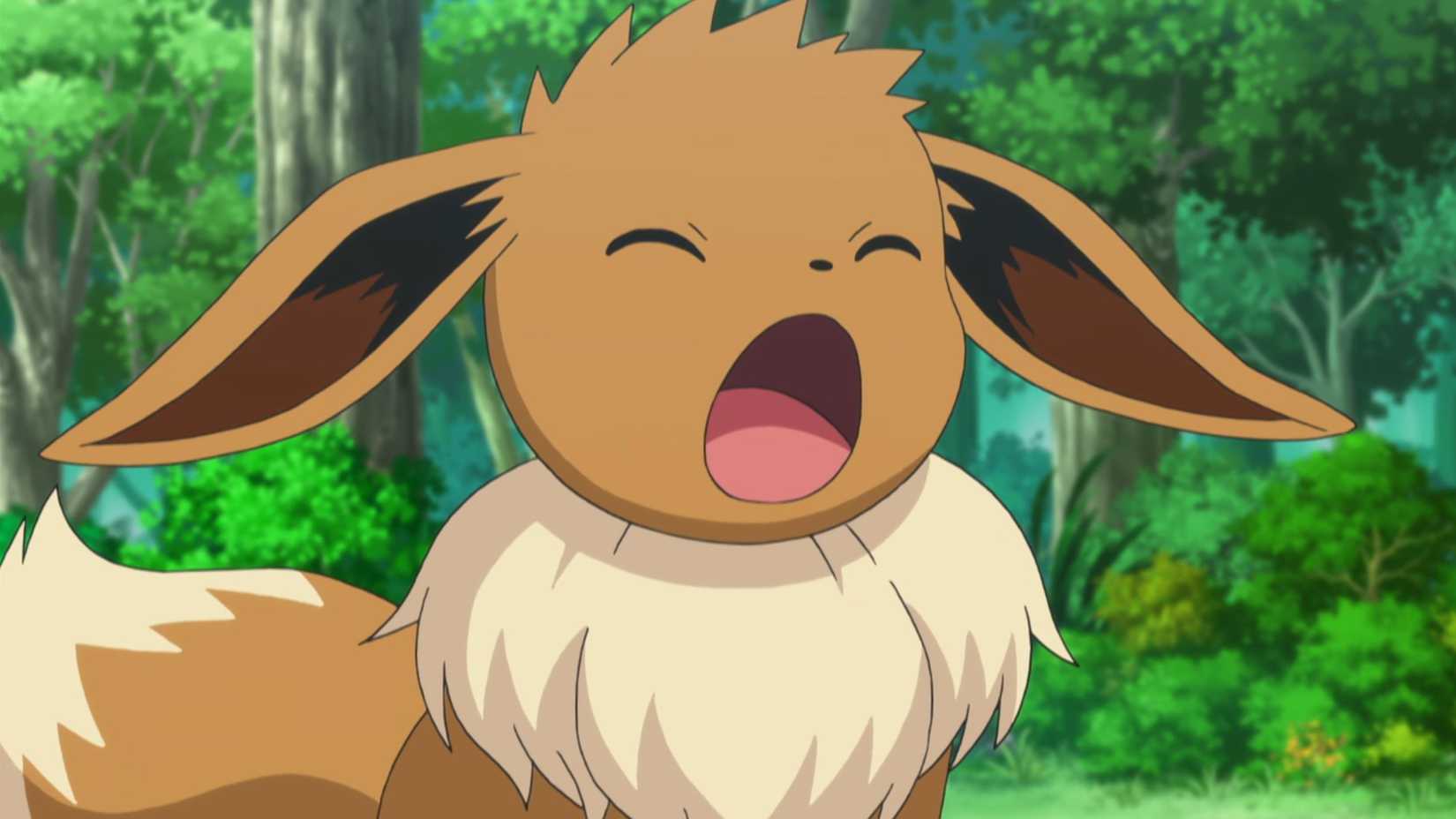 Pokemon Eevee from XYZ yawning