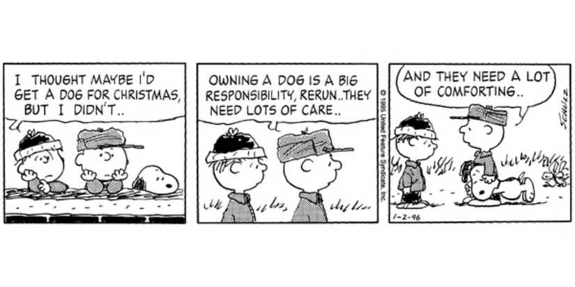 Rerun's Dream of Having a Dog Makes for a Perfect Peanuts Joke comic strip