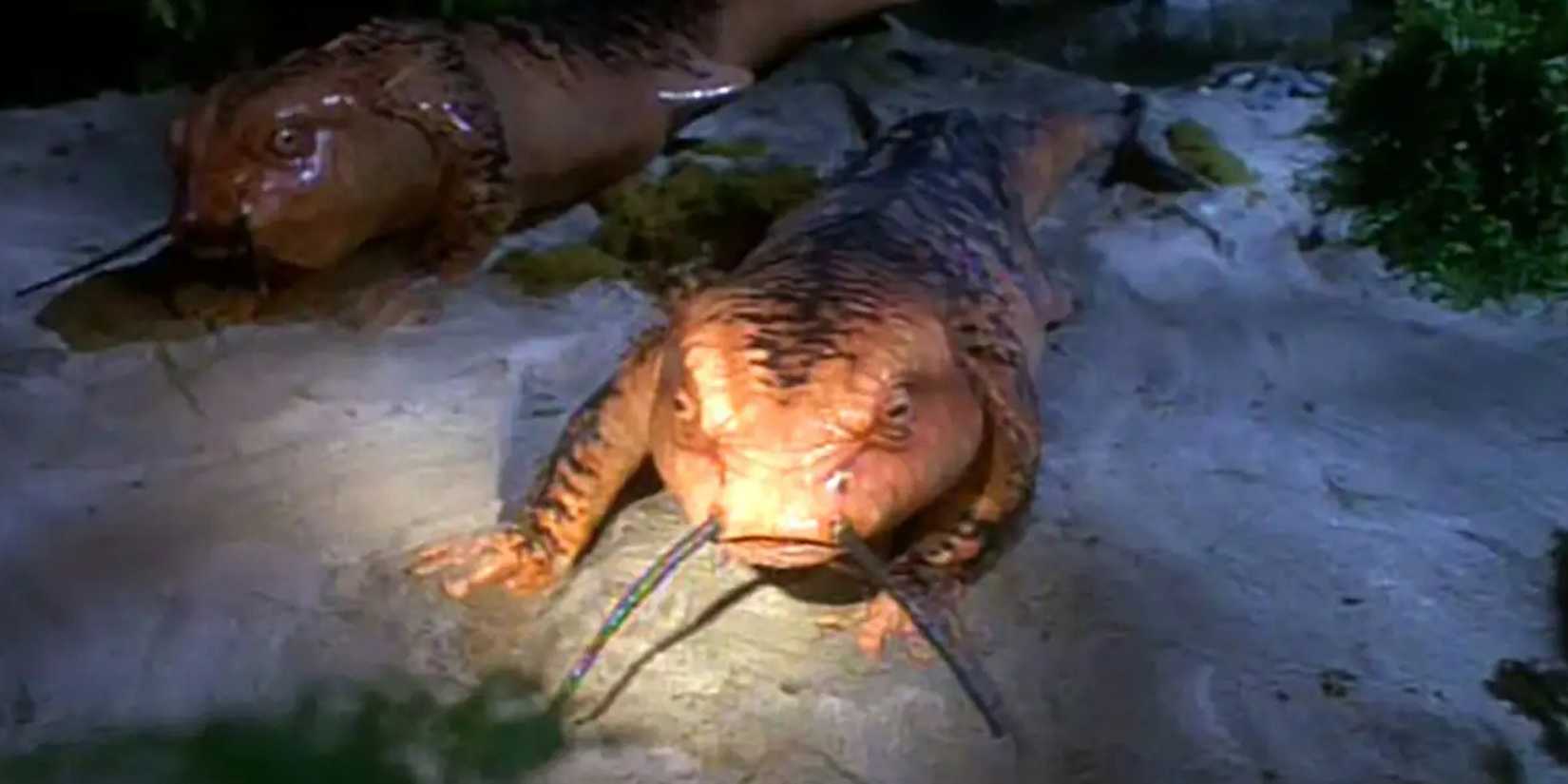 Salamander Janeway in the Star Trek episode Threshold