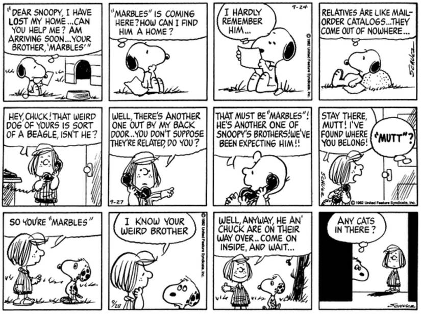 A series of three Peanuts strips showing the debut of Snoopy's brother Marbles.