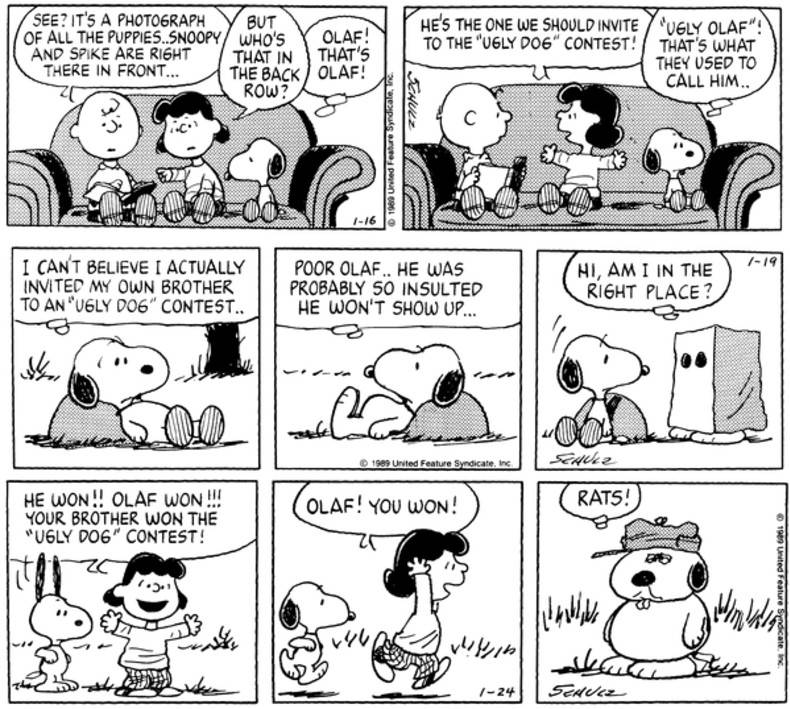 Three Peanuts strips introducing Snoopy's brother Olaf.