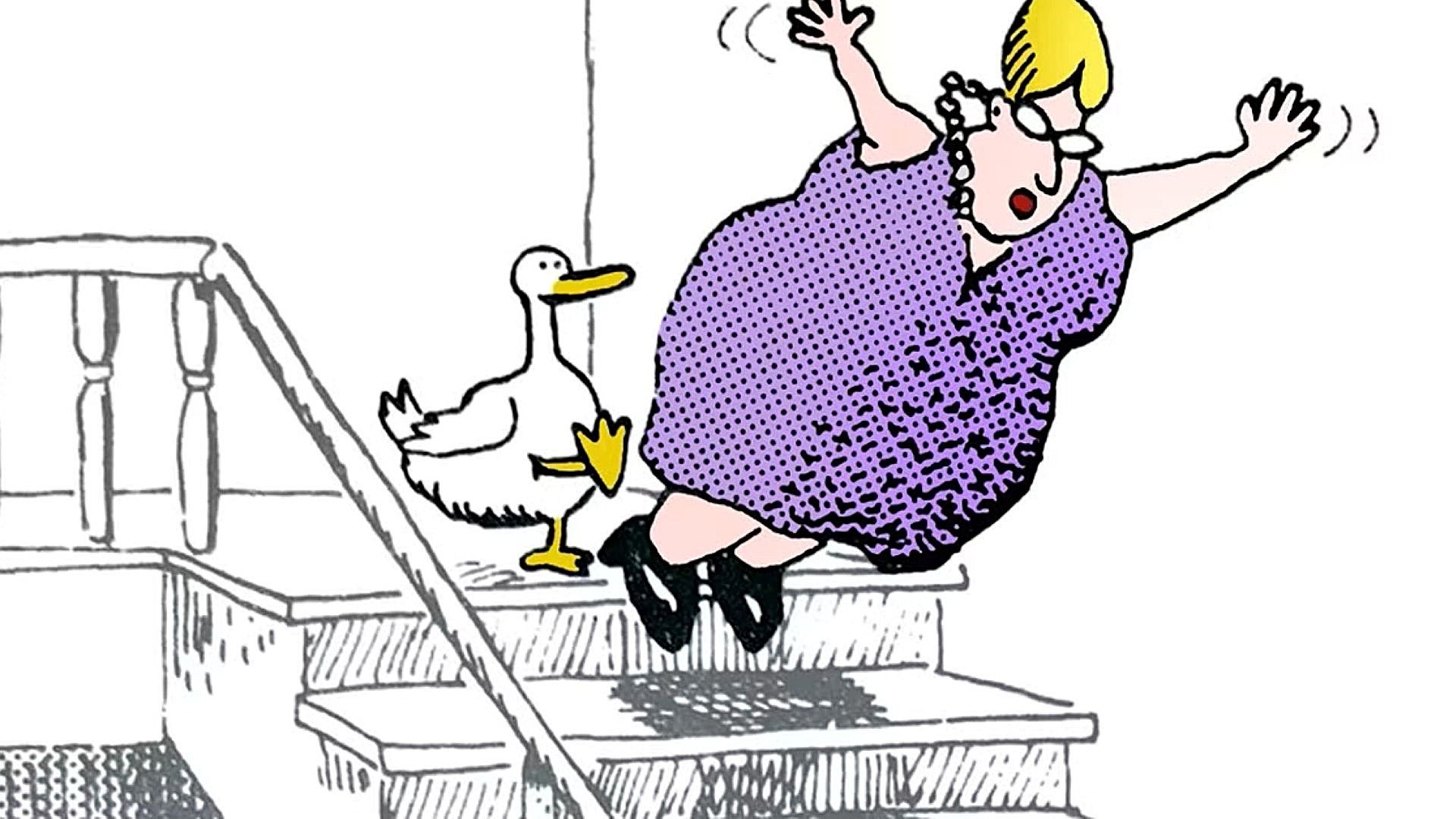 10 Best Far Side Comics About Ducks image