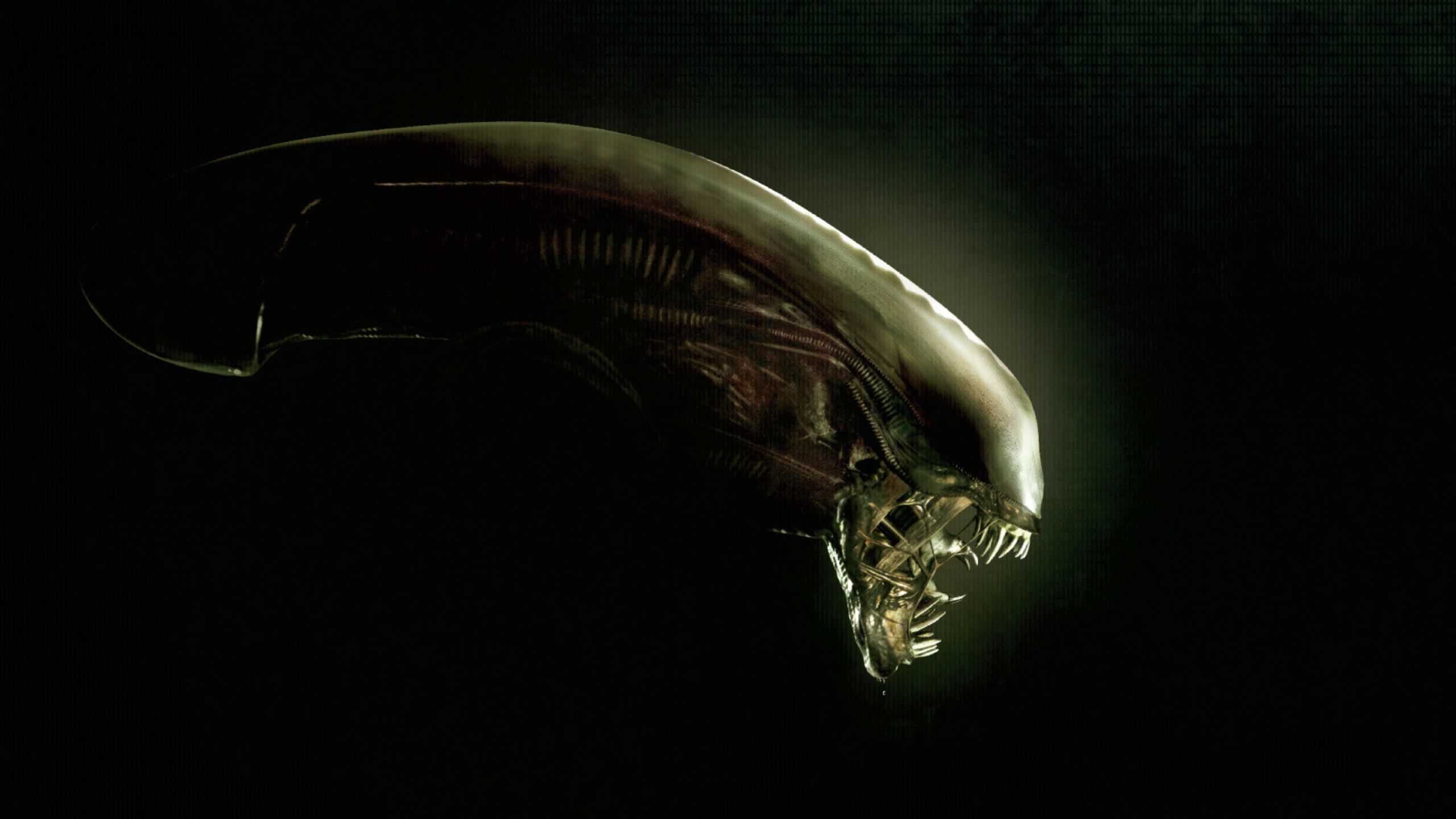 Alien Returns To Its Horror Roots In The Best Release Since James Cameron's Sequel image