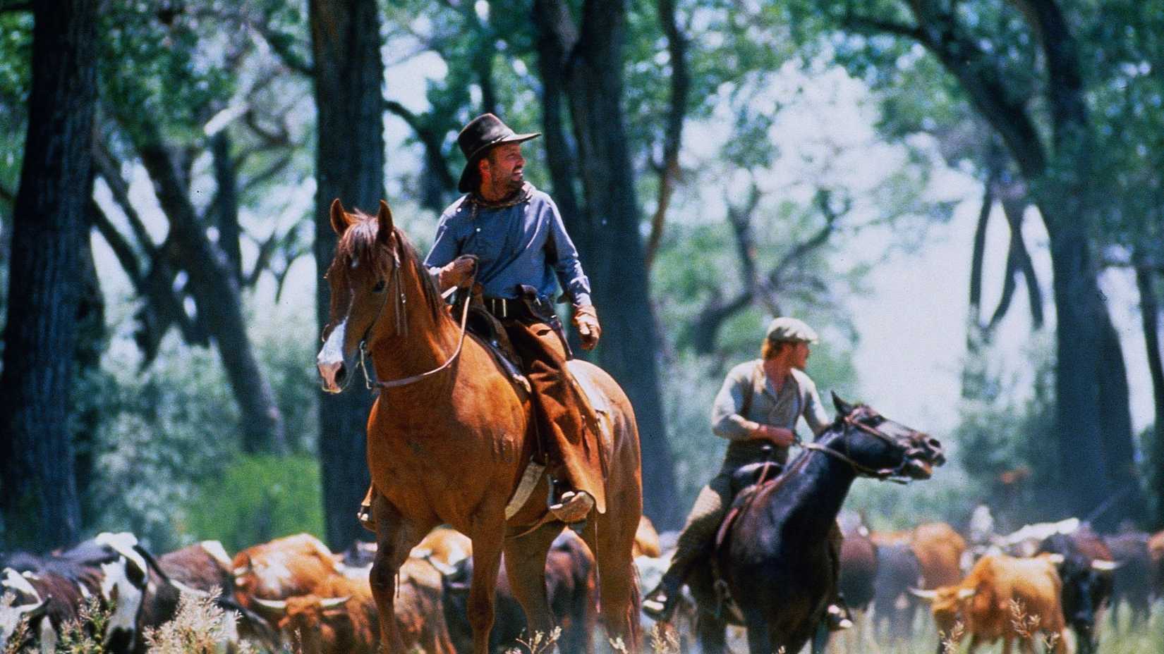 Netflix Is Turning The Western That Changed Taylor Sheridan's Life Into ...