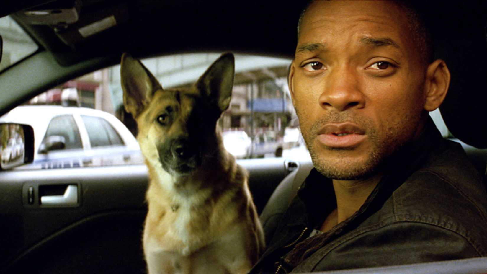 Will Smith and his dog peer out the driver's side window of a car in a scene from I Am Legend