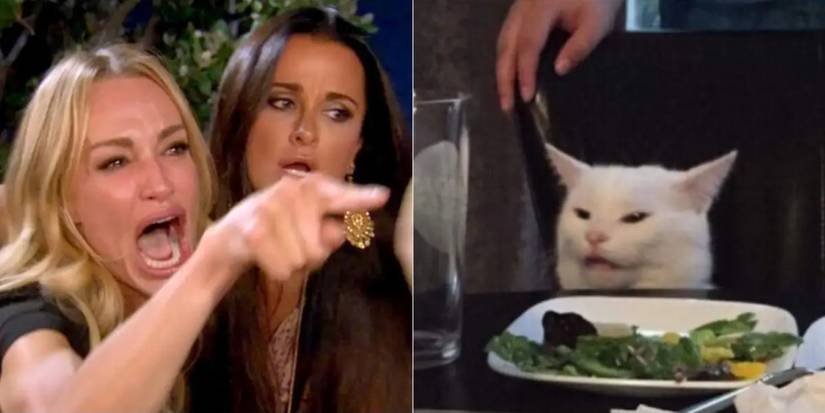 Woman yelling at cat meme