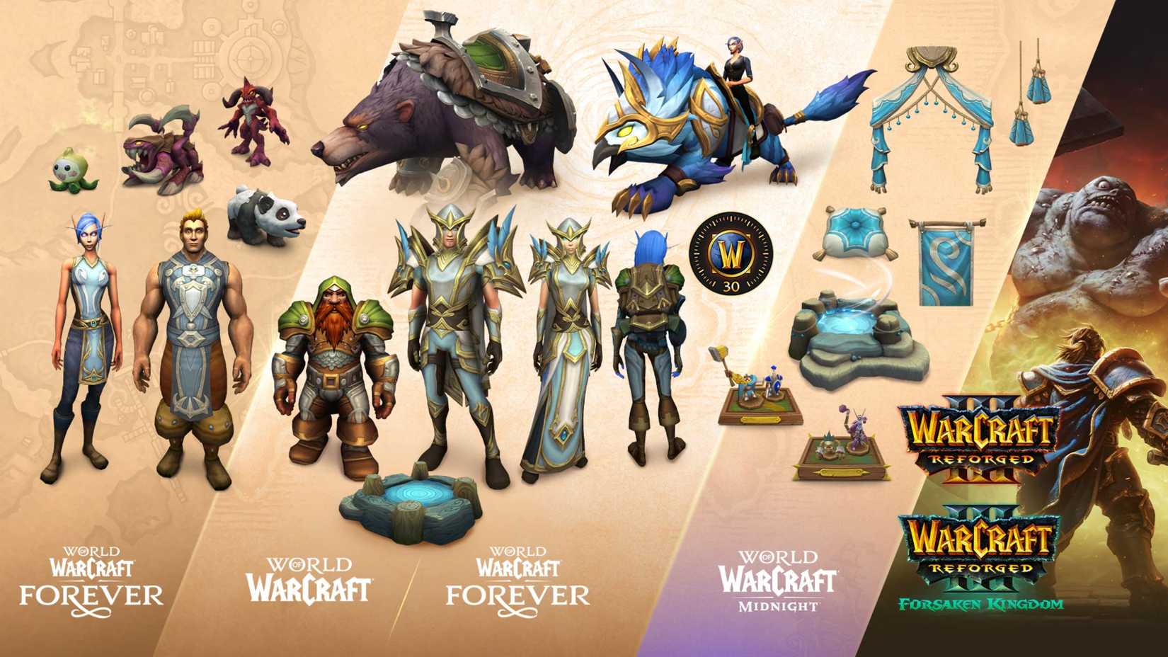 World of Warcraft Forever Collection image of things you get in the most expensive tier