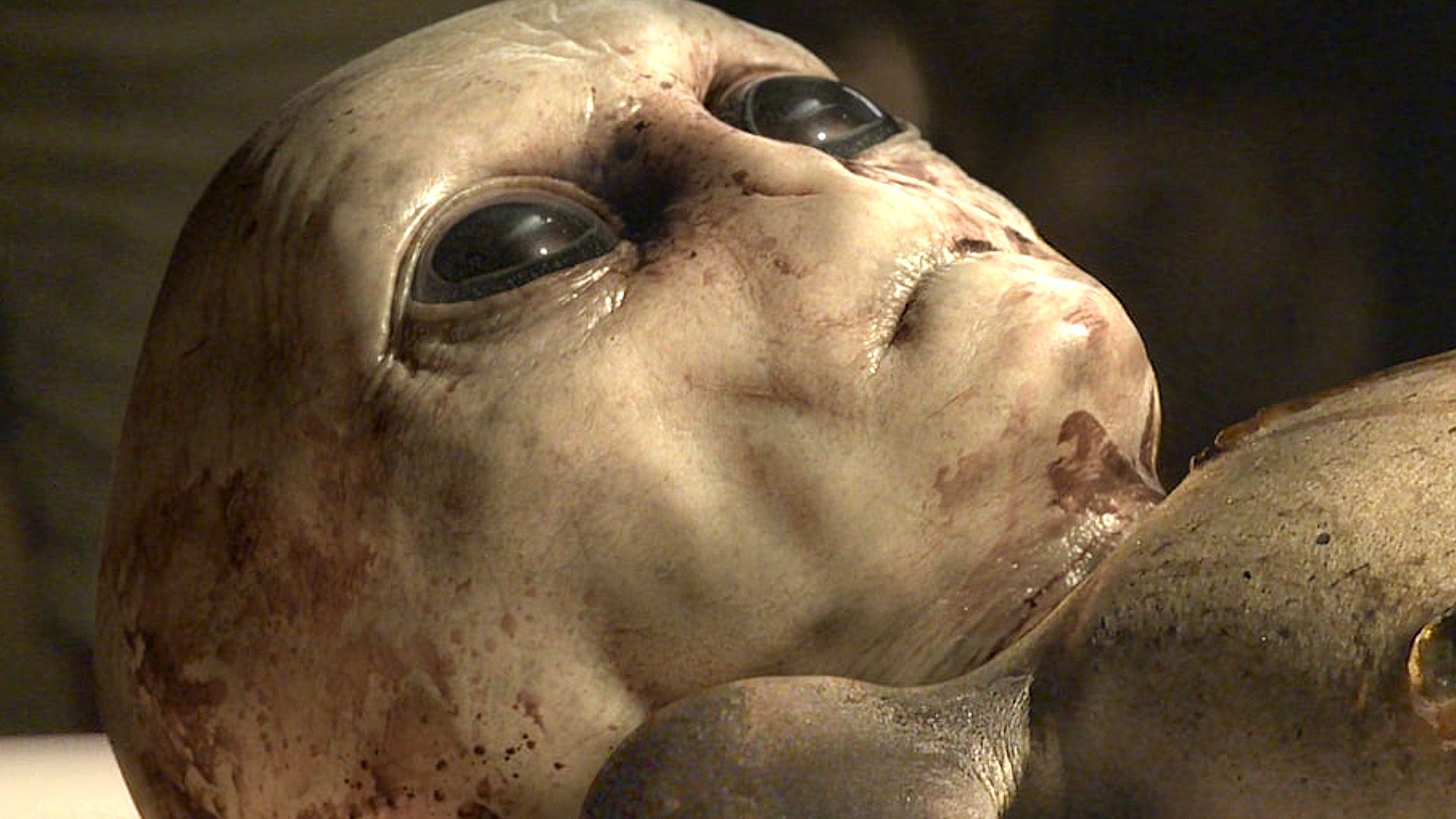 X-Files Meets The Diplomat In This 21-Part Sci-Fi Masterpiece