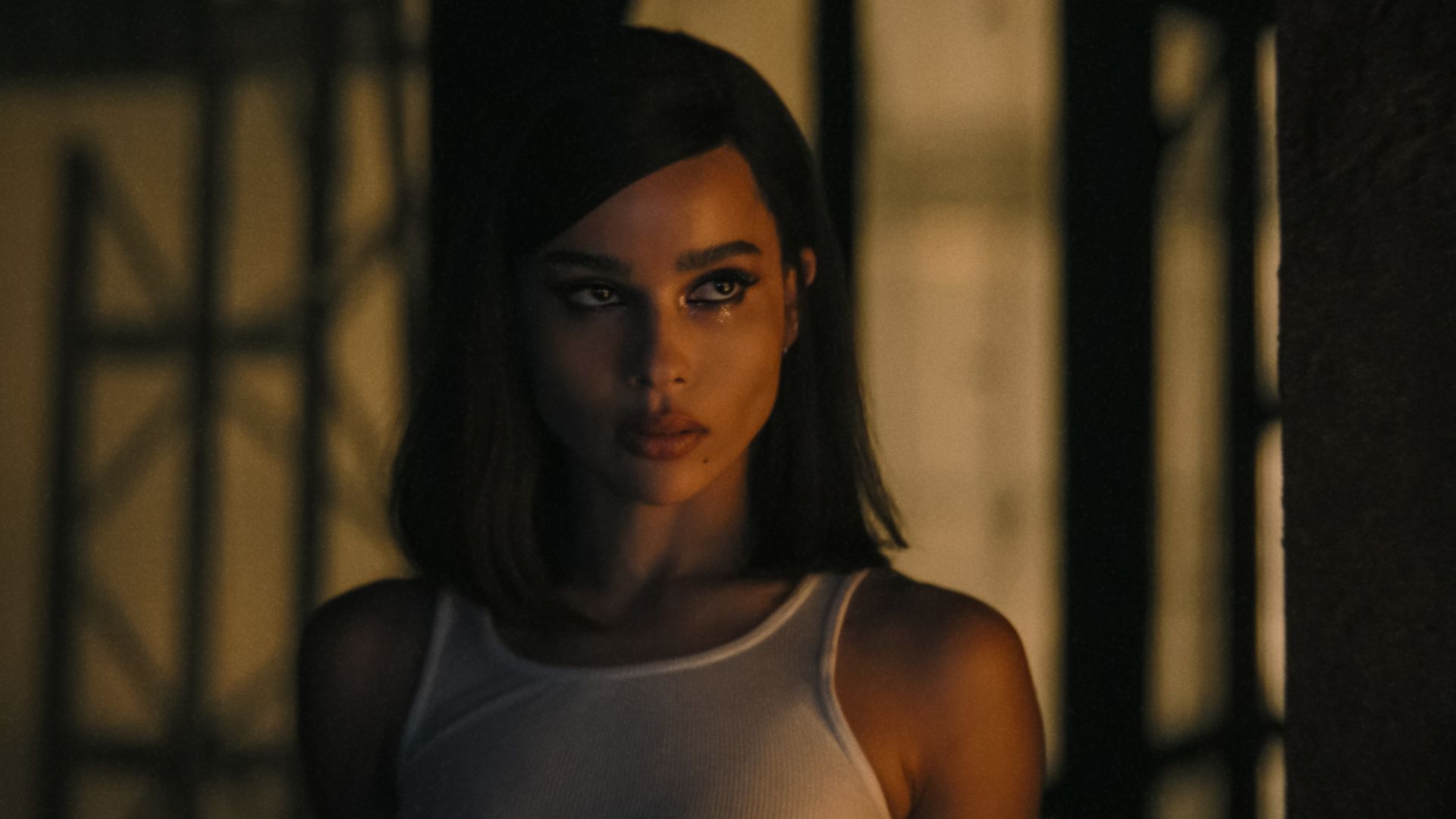Catwoman Stars Halle Berry and Zoë Kravitz Unite in New Movie image