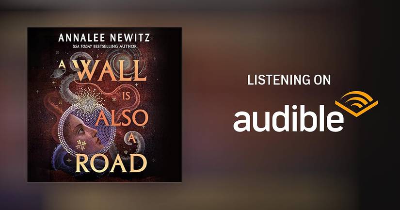 A Wall Is Also A Road by Annalee Newitz audiobook image