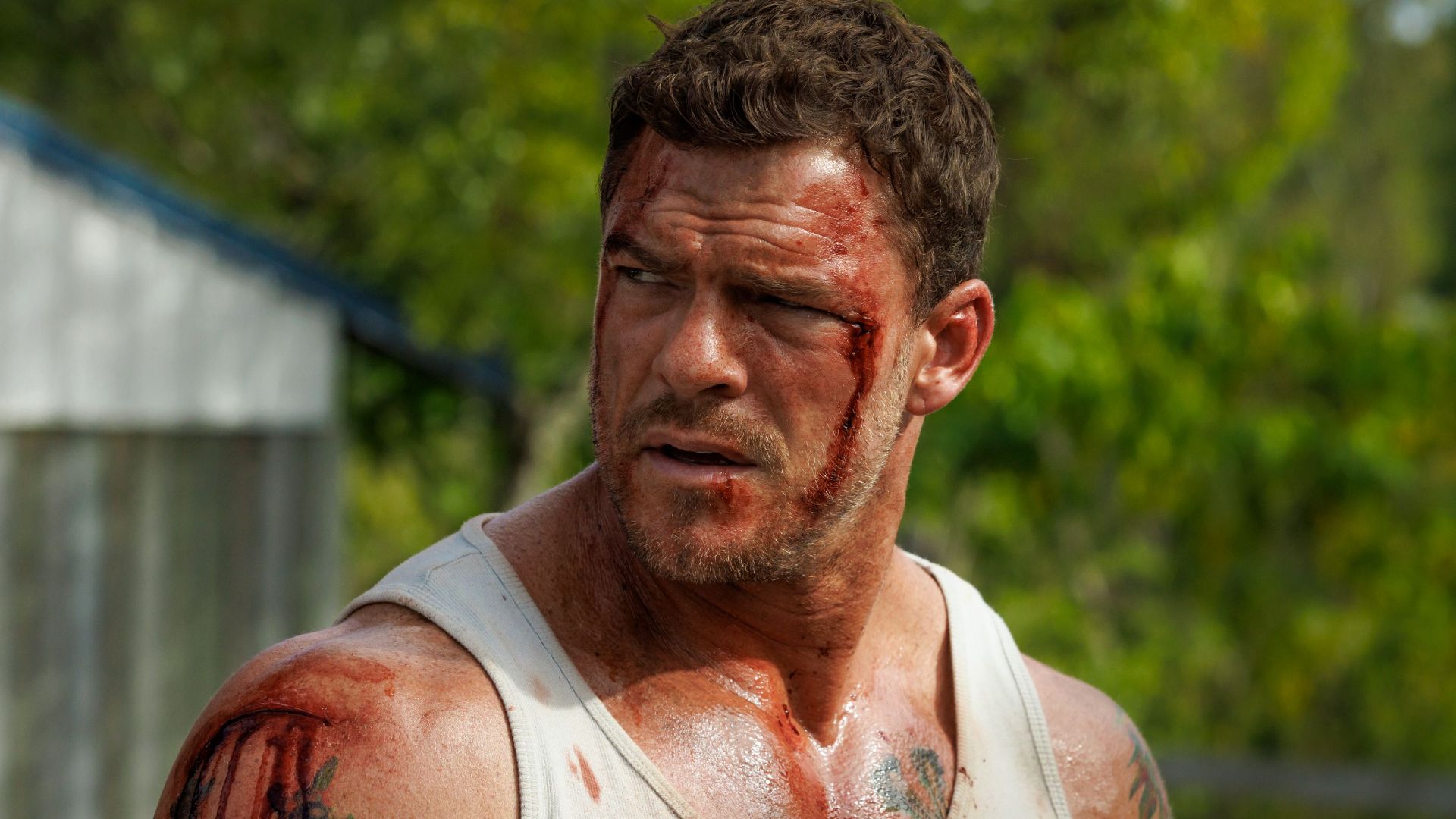 Alan Ritchson's New Action Thriller With Near-Perfect RT Audience Score Is Out As A Must-Watch At Home image