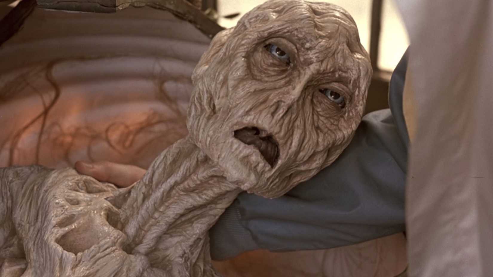 Alien in Cocoon