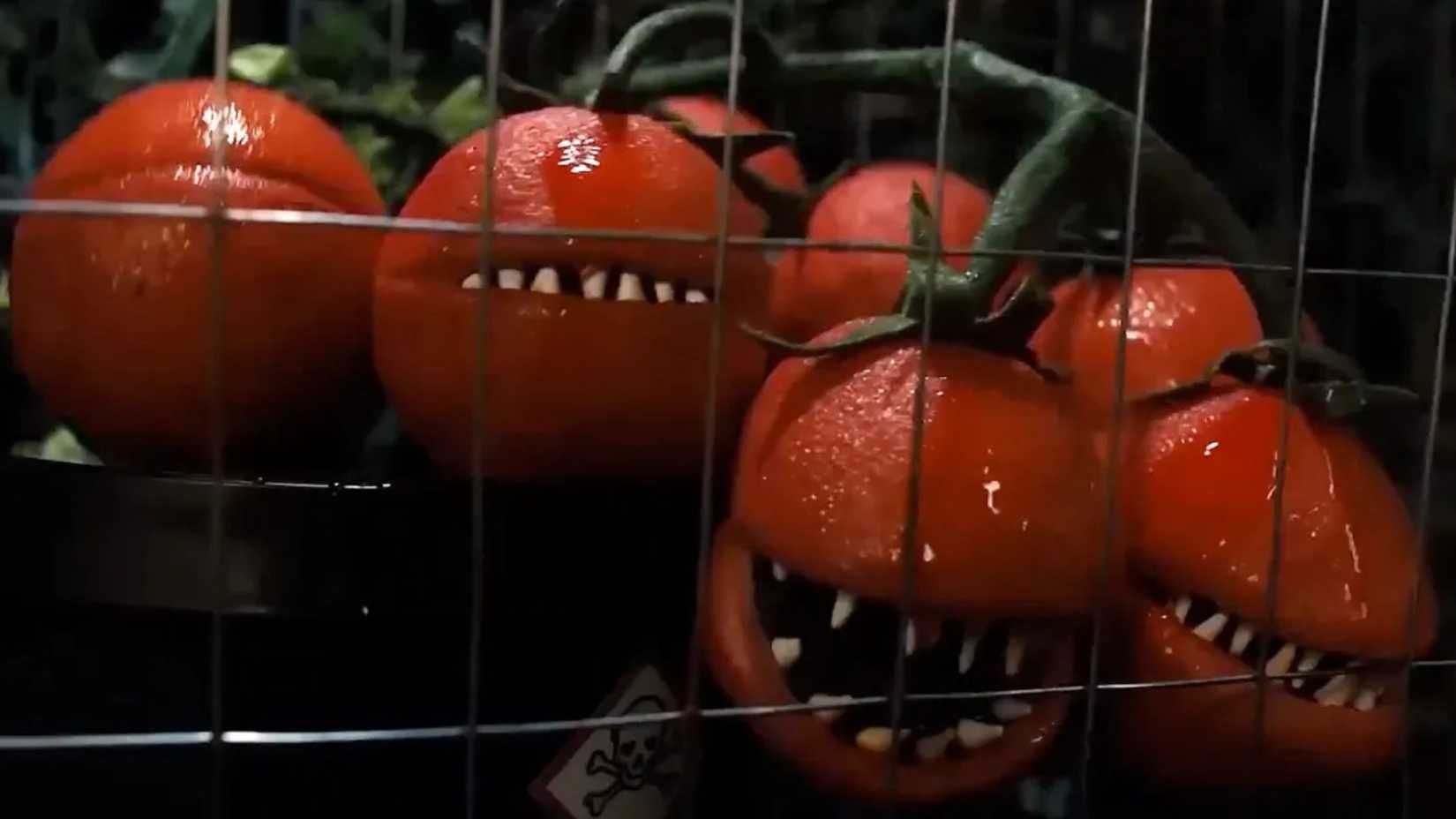 Attack of the Killer Tomatoes Reboot