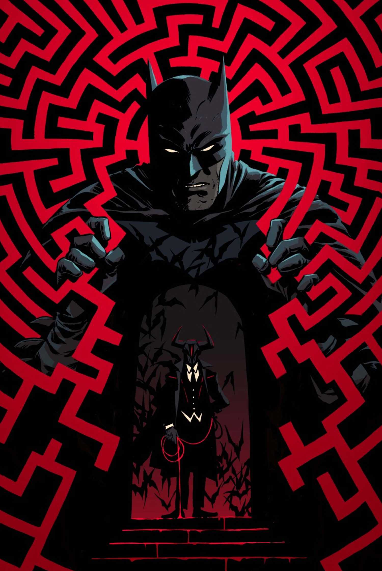 batman 17 variant cover showing bruce wayne's new costume 3
