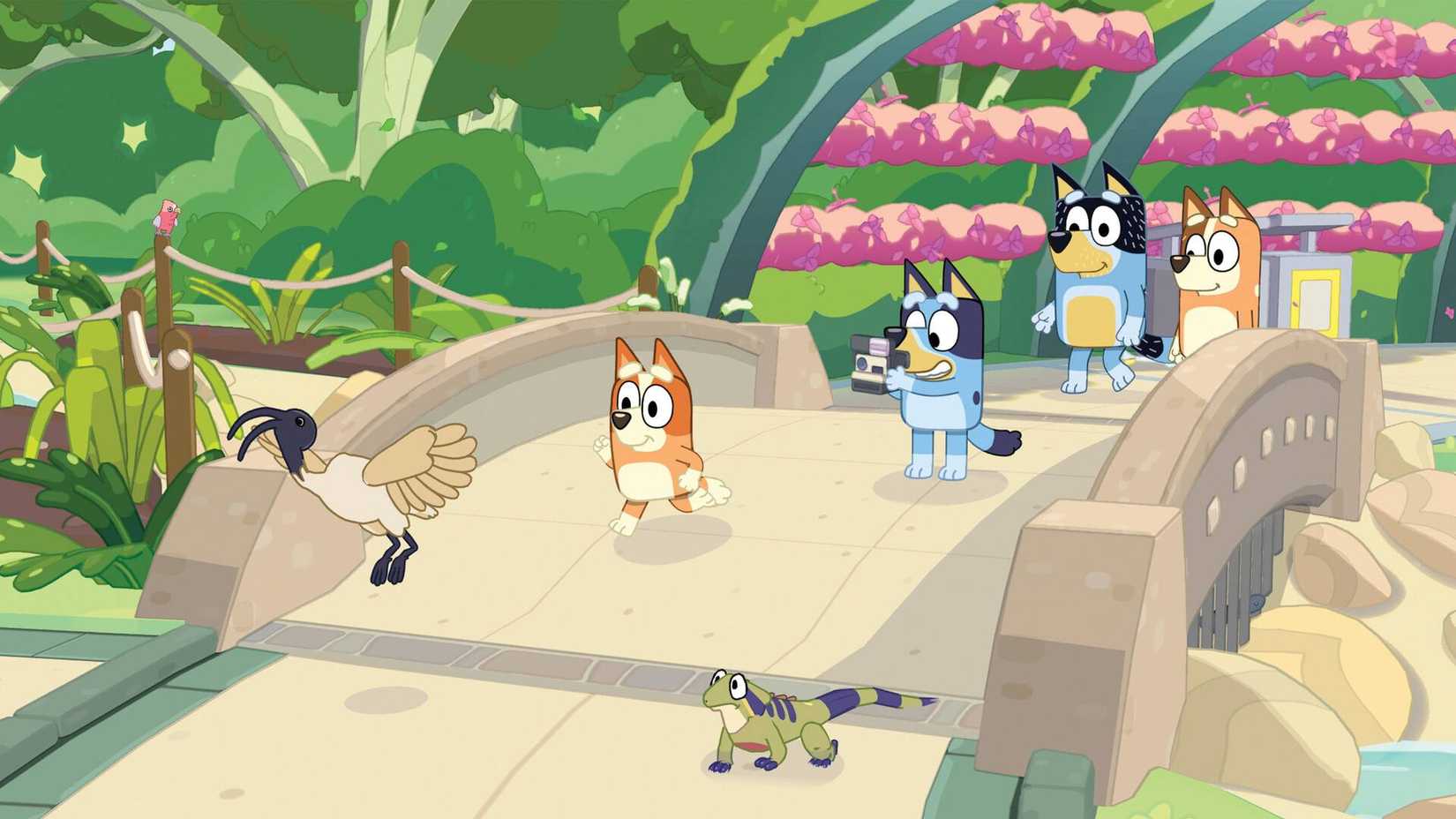 Characters from Bluey walking across a bridge taking a photograph of a bird in Bluey's Happy Snaps.