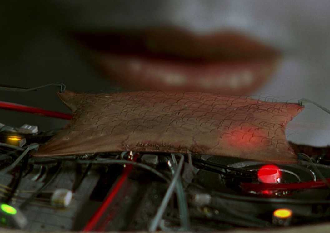 Borg Queen blows on Data's arm hair