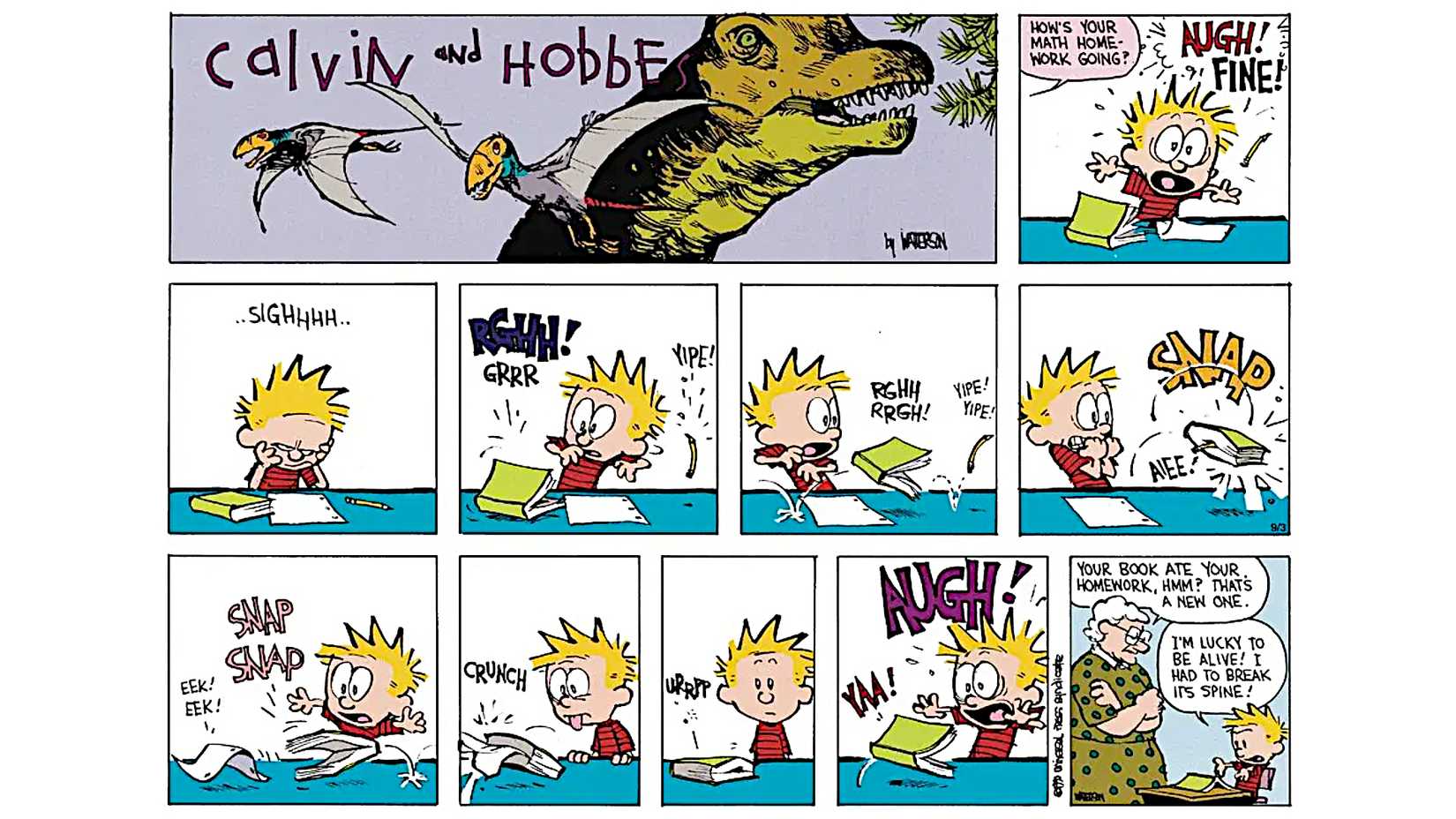 Calvin and Hobbes Best Homework Strip October 30 1994