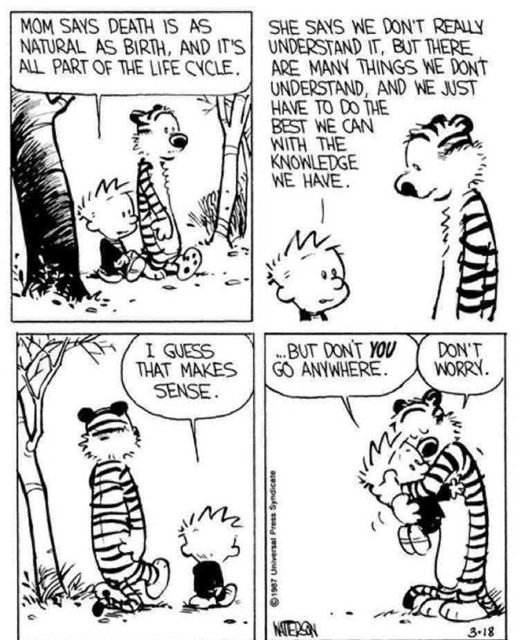 Calvin and Hobbes discuss death