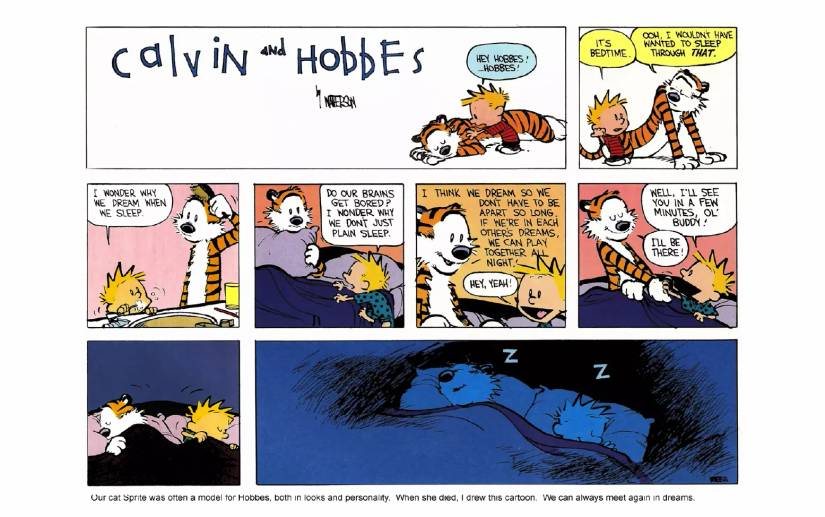 Calvin and Hobbes meet again in their dreams