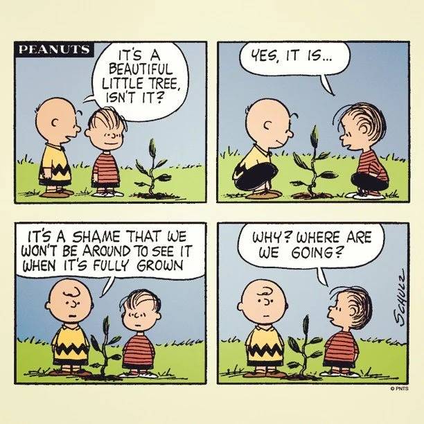 Charlie Brown and Linus plant a tree in Peanuts comic