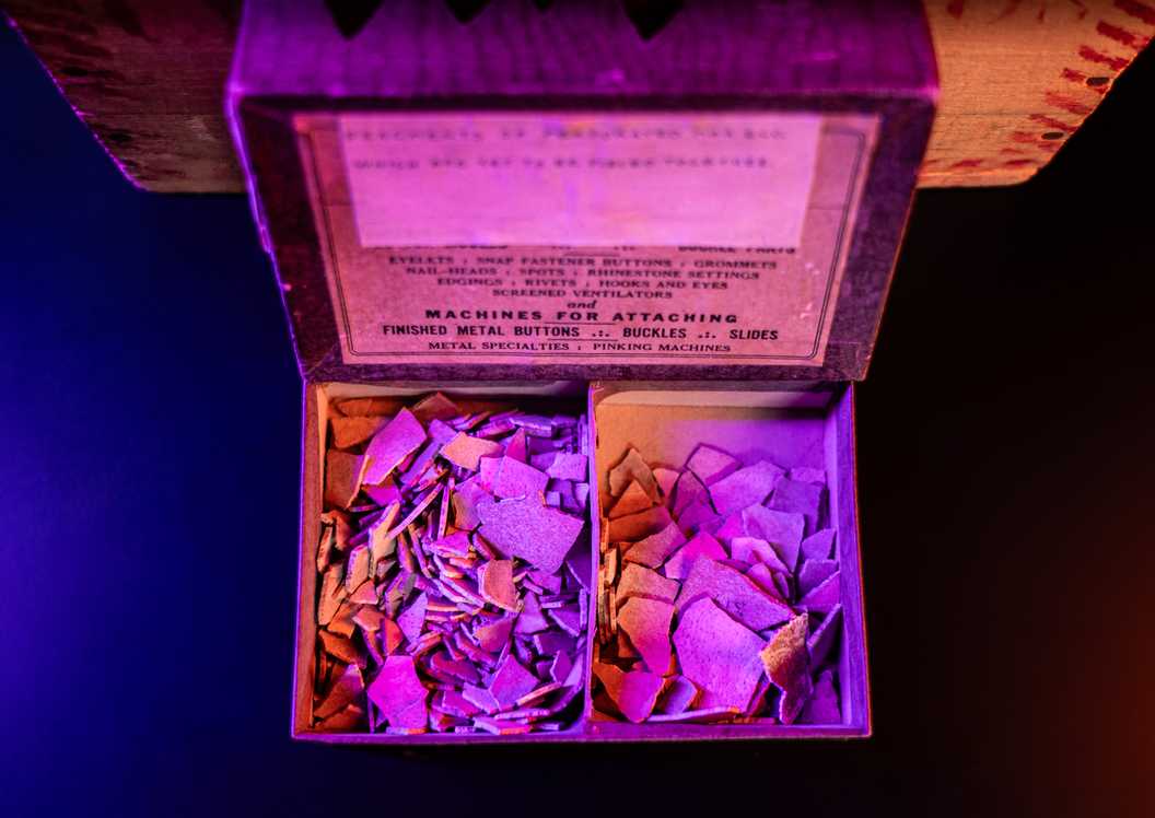 Colossal Moa Egg Recovered at auction by Peter Jackson - SHELL FRAGMENTS