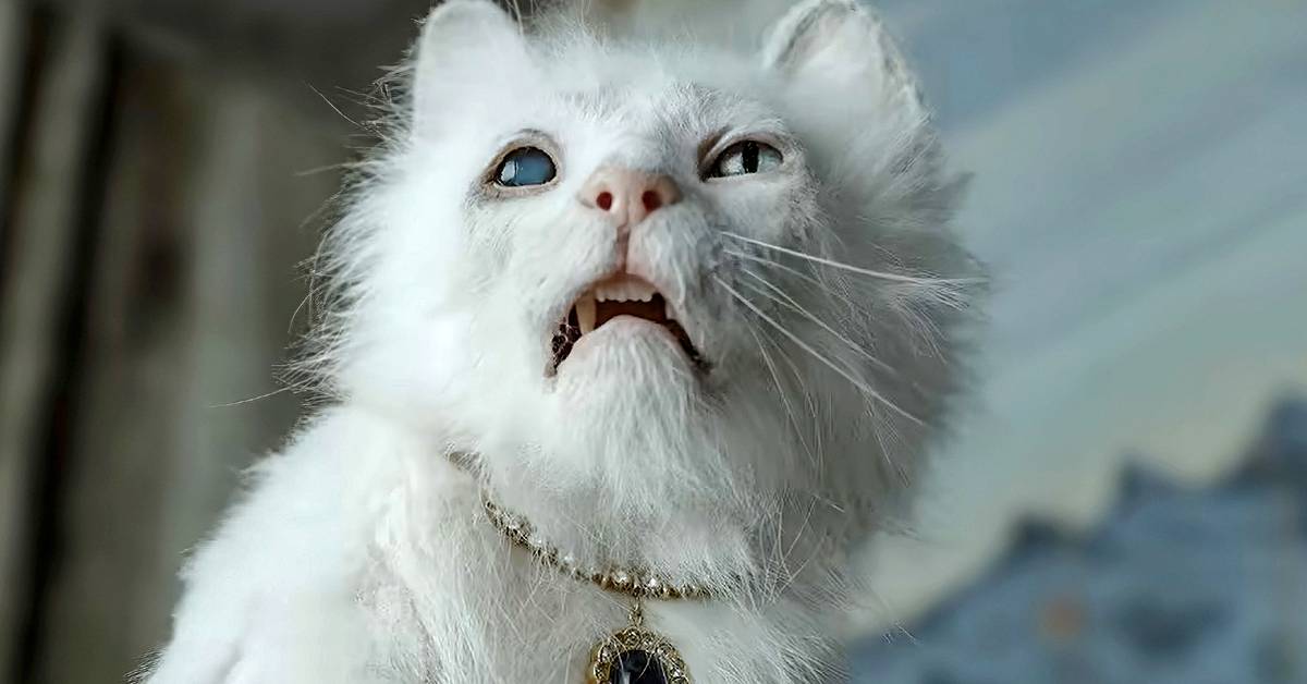 screenrant.com - Brennan Klein - Final Pre-Merger Warner Bros. Movie Sets Disastrous Box Office Debut