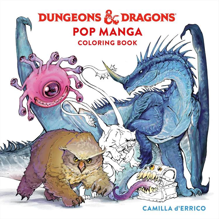 Dungeons and Dragons manga coloring book cover