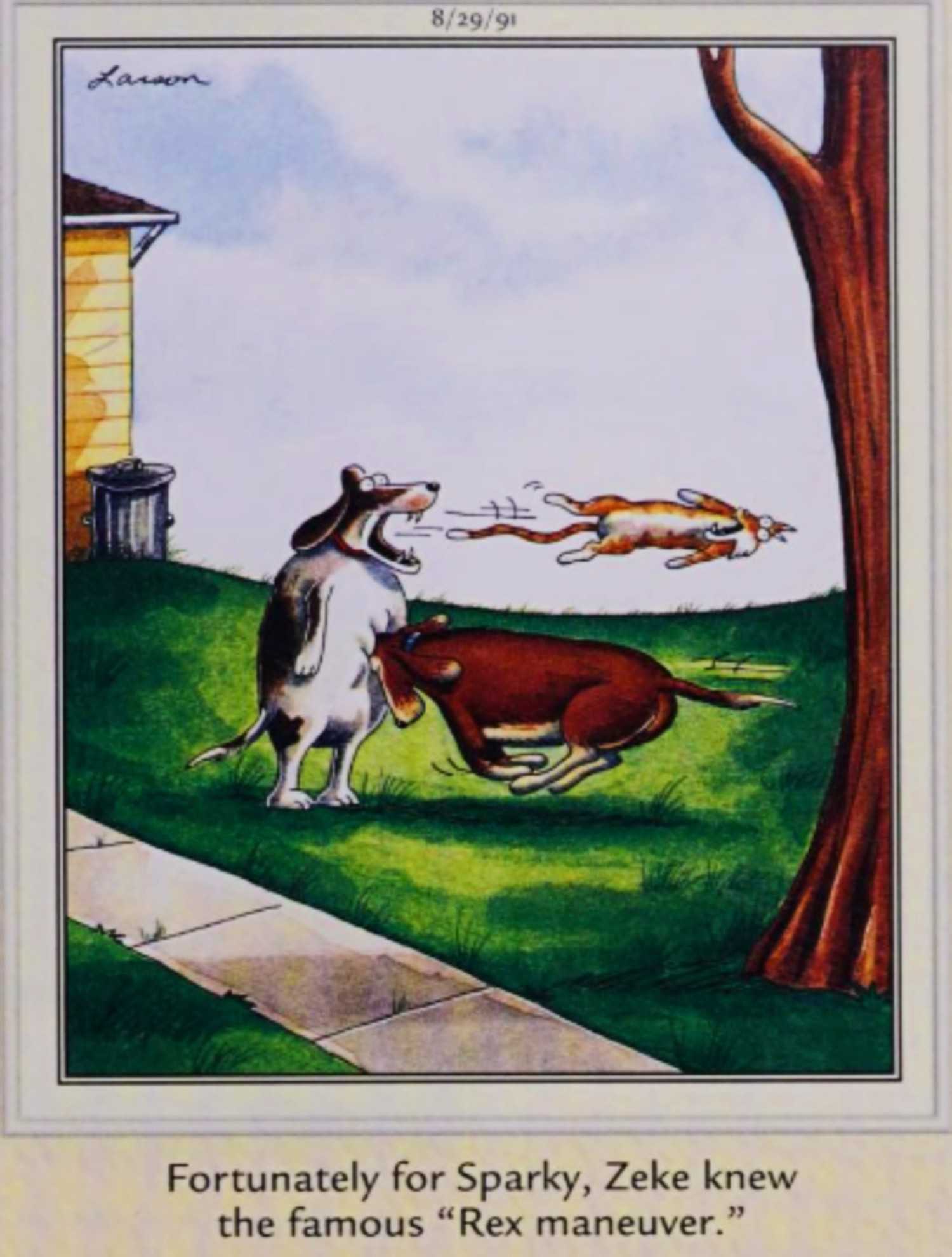 Far Side August 29 1991, a dog gets a cat unlodged from its throat with the Rex Maneuver