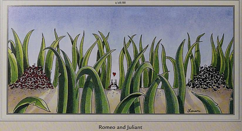 Far Side February 28 1988, Romeo and Juliant