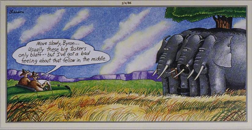 Far Side May 11, 1986 guys on safari come face to face with dangerous elephants