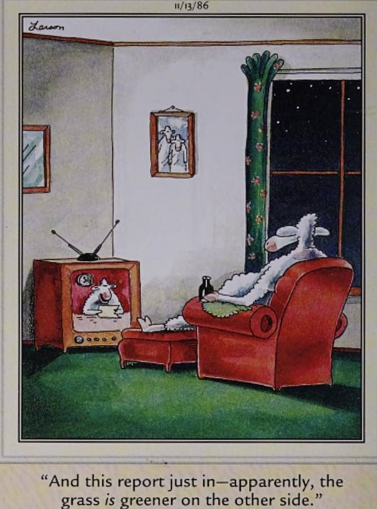 Far Side November 13 1986, sheep newscast confirming grass is greener on the other side