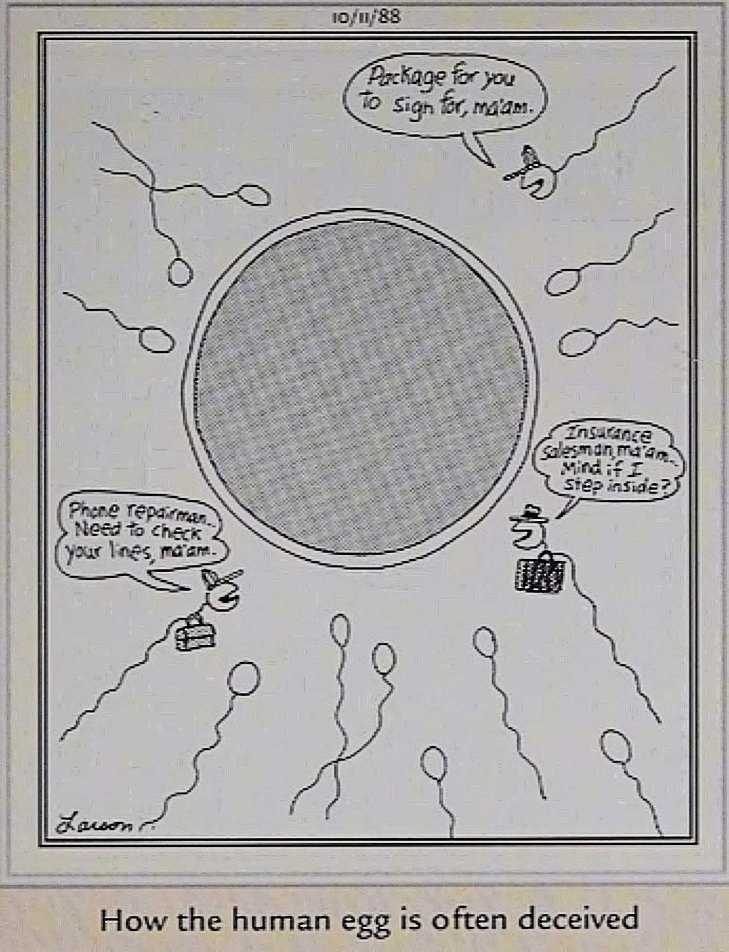 Far Side October 11 1988, how eggs are 'deceived' 