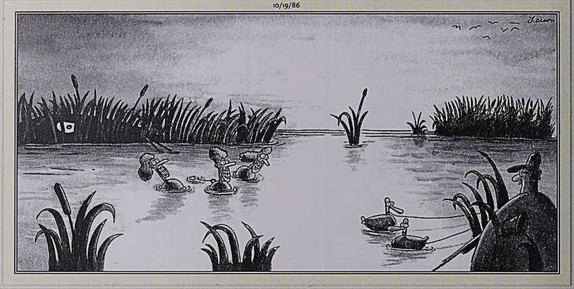 Far Side October 19 1986, ducks using human lures