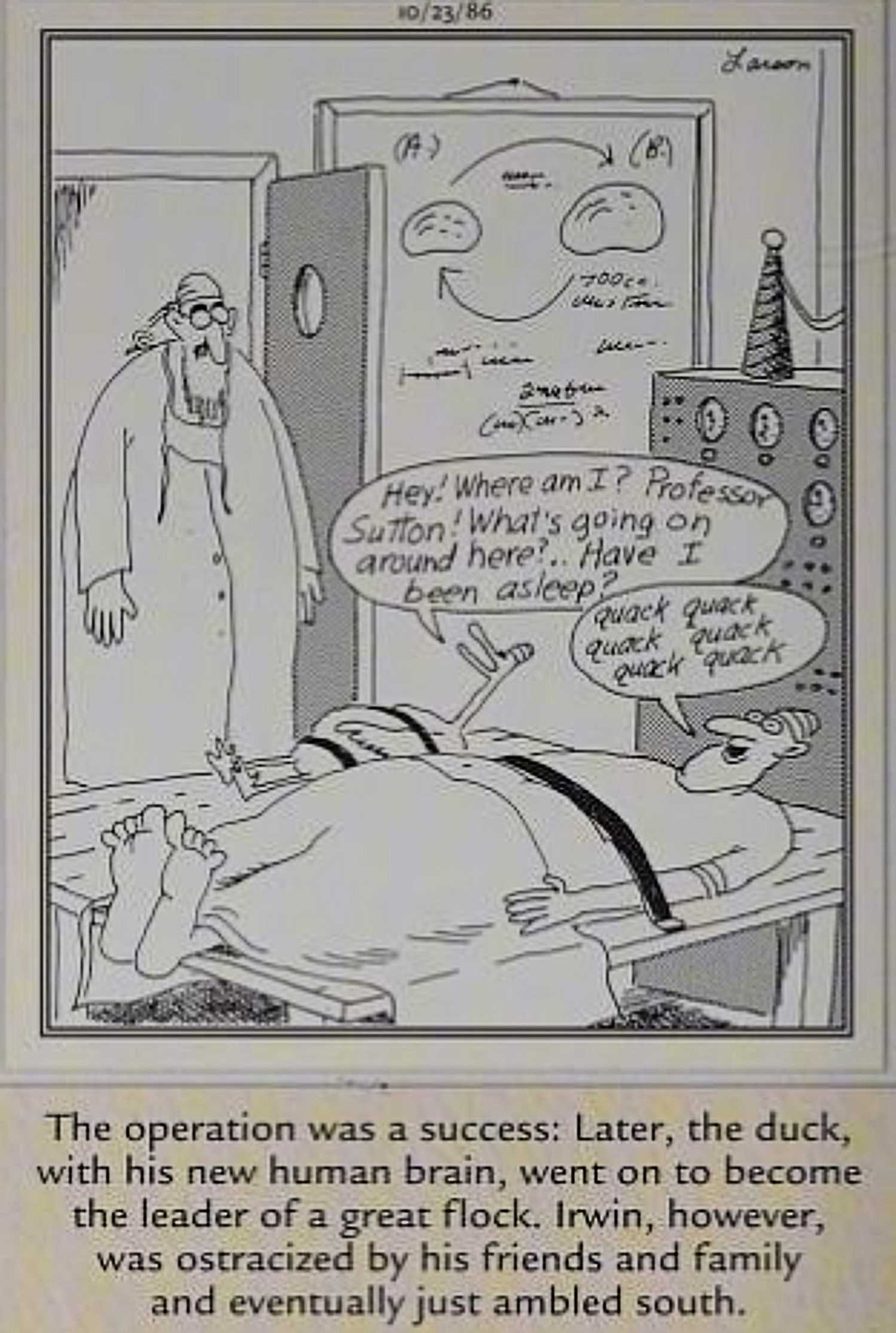 Far Side October 23 1986, a duck and a man have their brains swapped by a mad scientist