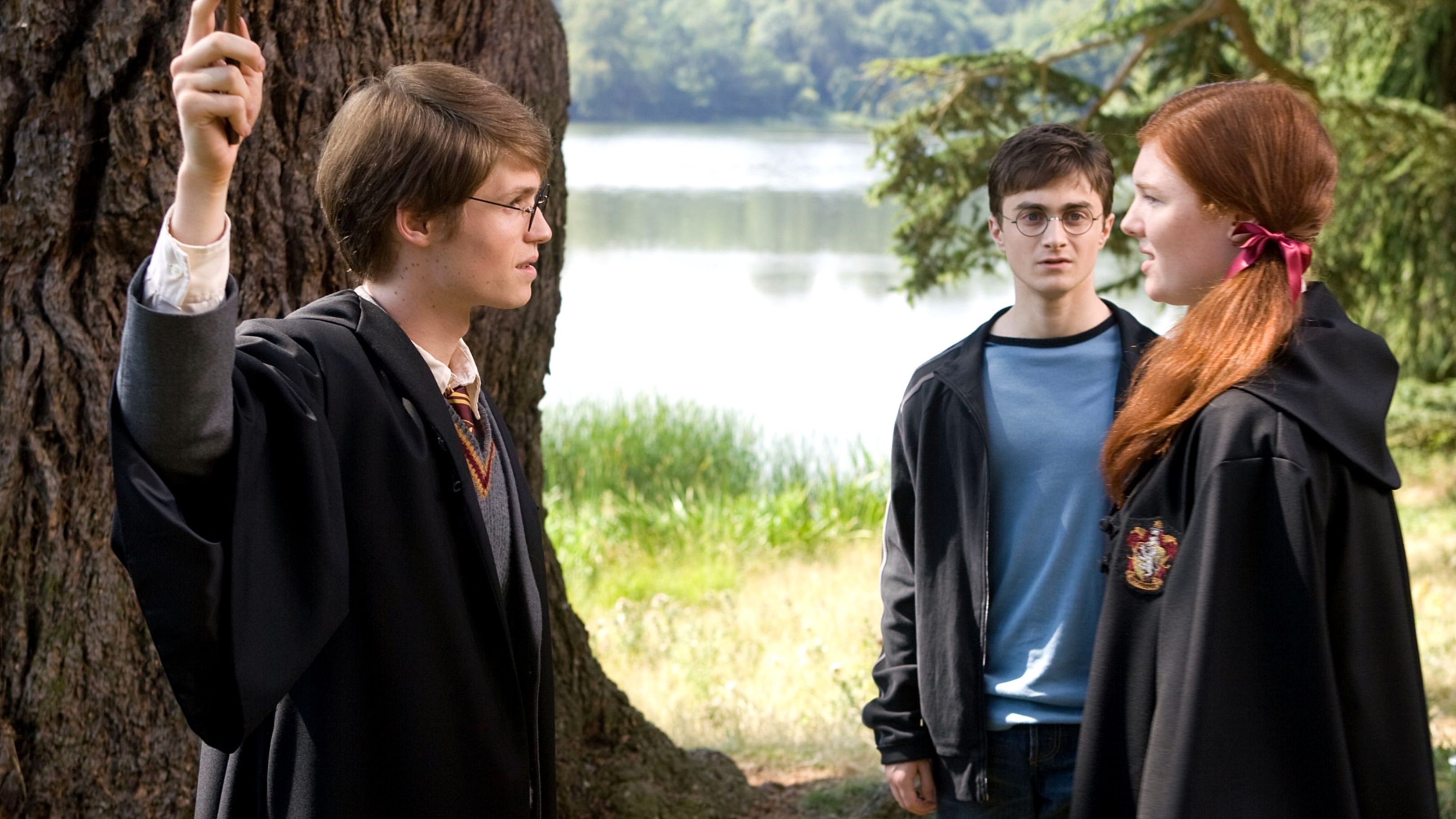 Harry Potter Season 1's James & Lily Potter Casting Officially Confirmed By HBO