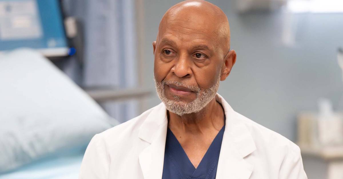 screenrant.com - Antonella Gugliersi - ABC Drops A Lethal Verdict To Grey's Anatomy Iconic Hospital After 21 Years